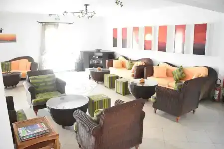 Dilina Studios - 1