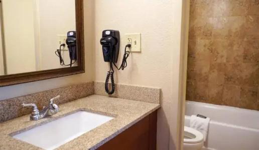 Rosen Inn Closest to Universal - 60