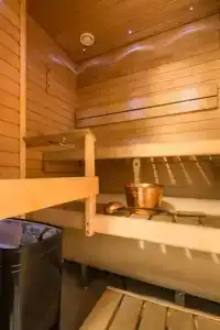 Laplands Sirkantähti - 67