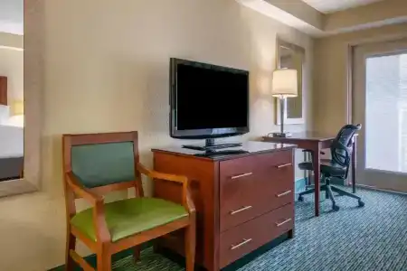 Holiday Inn Resort Orlando - Lake Buena Vista, An Ihg - 21