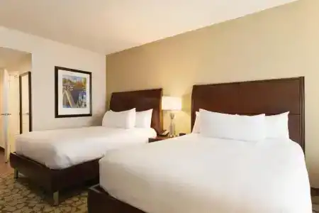 Hilton Garden Inn Boston Logan Airport - 23