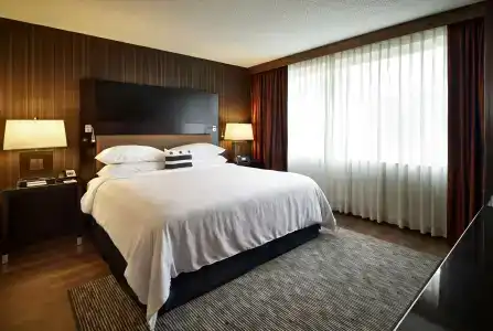 Embassy Suites Washington D.C. - at the Chevy Chase Pavilion - 7
