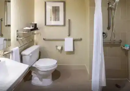 Hyatt Regency Houston Intercontinental Airport - 29