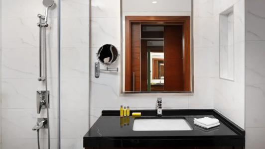 Deltas by Marriott Istanbul Levent - 33