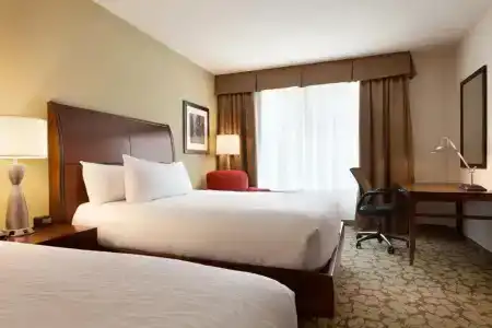 Hilton Garden Inn Boston Logan Airport - 24