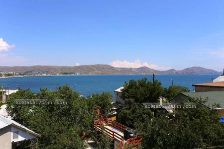 Ива - 2