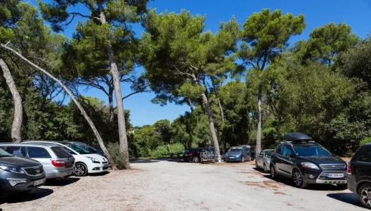 Provençal - 30