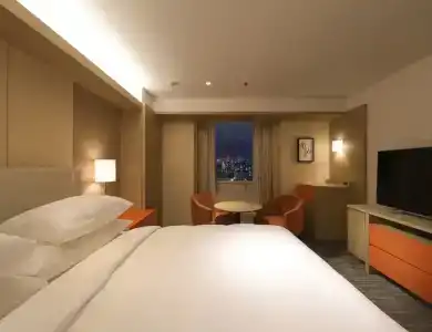 Sheraton Miyako Osaka - 42