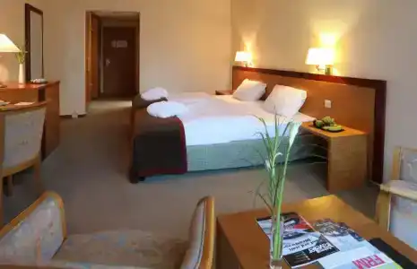 Dolce by Wyndham Bad Nauheim - 23