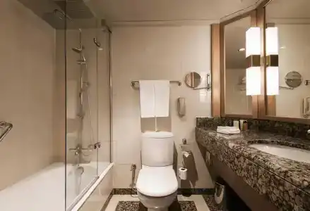 Ankara HiltonSA - 55