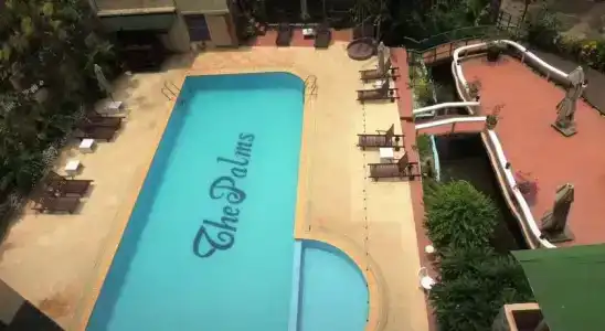 The Palm - 9