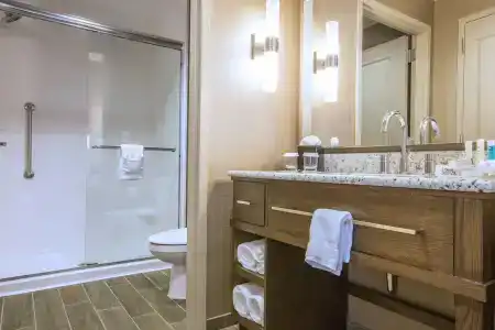 Hampton Inn Houston Downtown - 26