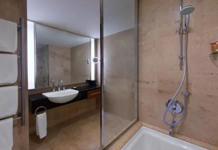 Royal Orchid Sheraton And Towers - Sha Extra Plus - 35