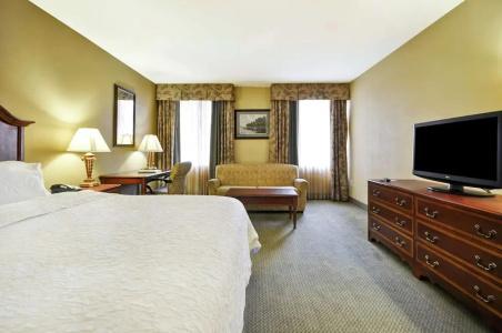 Hampton Inn Charleston-Historic District - 51