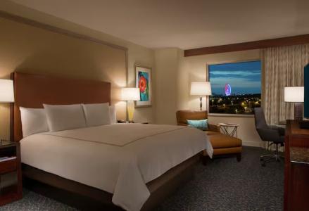 Hilton Orlando - 28