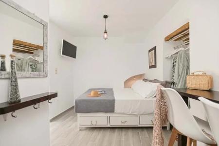 Venetian Suites - 221