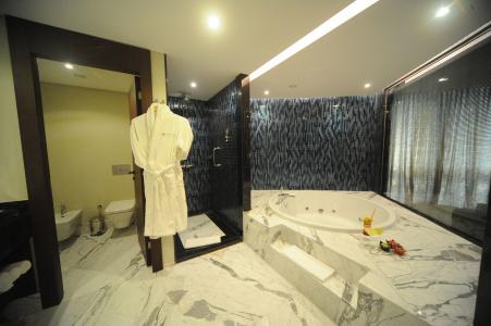 Pullman Istanbul & Convention Center - 47