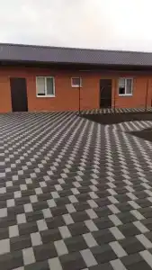 Незабудка - 0