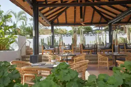 Dreams Jardin Tropical Resort & Spa - 19