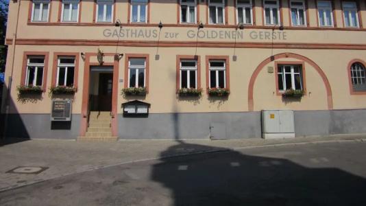 Goldene Gerste - 0