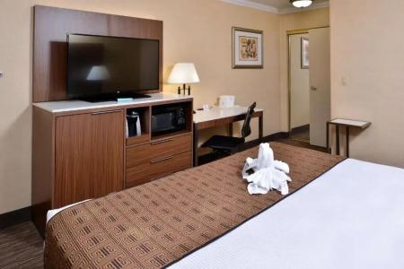 Best Western Hollywood Plaza Inn - Hollywood Walk Of Fame - La - 51