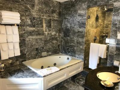 Fairmont Copley Plaza - 65