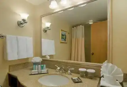 Hilton North Hills - 28