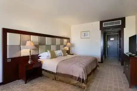 Grand Excelsior - 91
