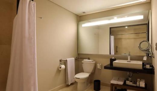 Jw Marriott Mexico City Santa Fe - 55