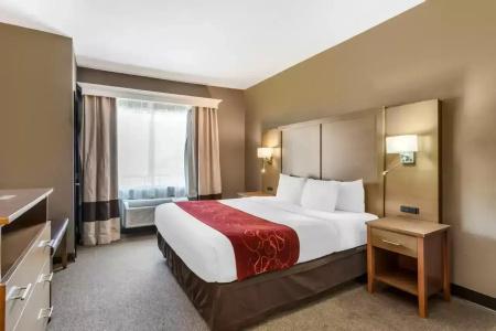 Comfort Suites Bush Intercontinental Airport - 24