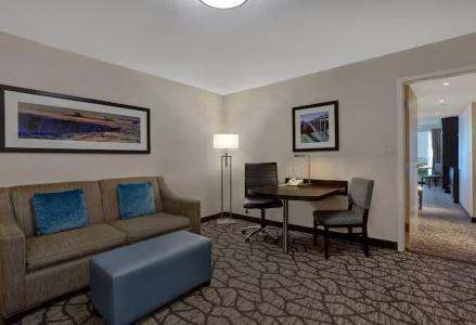 Embassy Suites by Hilton/ Fallsview - 79