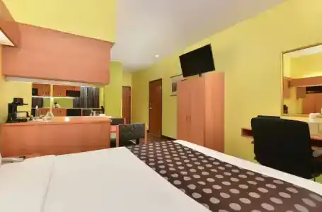 Microtel Inn & Suites by Wyndham Ft. Worth North/At Fossil - 31