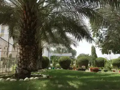 Al Madinah Holiday - 22