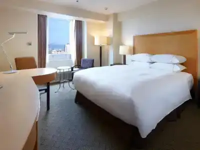 Sheraton Miyako Osaka - 1