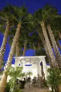 Garden Ripa - 37
