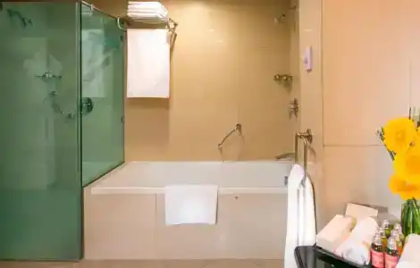 Swissôtel Al Murooj Dubai - 31