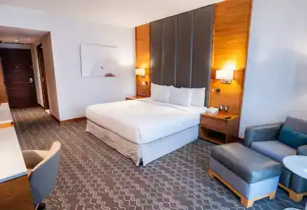 Doubletree By Hilton Mexico City Santa Fe - 52