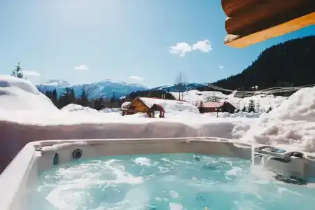 Glacier House & Resort - 17