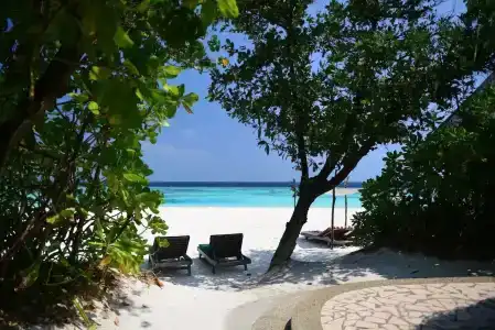 Coco Palm Dhuni Kolhu - 17