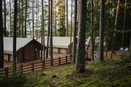 Лесная Рапсодия - 184