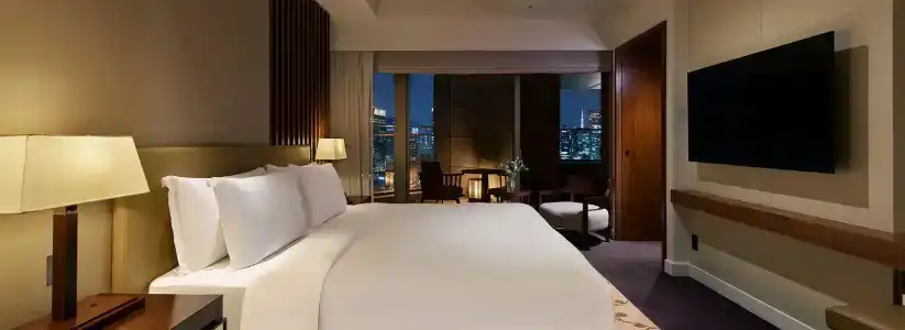 Palace Tokyo - 74