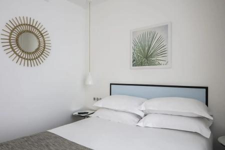 Palm - Astotel - 54