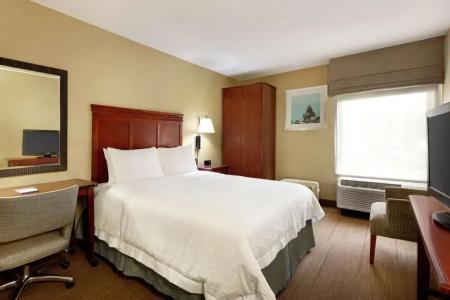Hampton Inn Ft. Lauderdale-Cypress Creek - 48