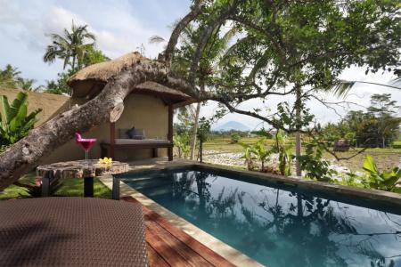 Temuku Villas - 49