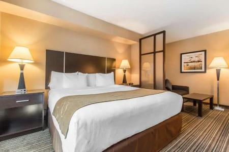 Comfort Suites Downtown - 24
