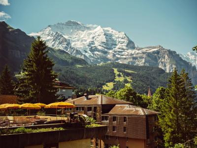 Belvédère Wengen - 36