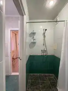 Кипарис на Красноармейском - 17