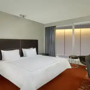 Park Plaza Westminster Bridge London - 85