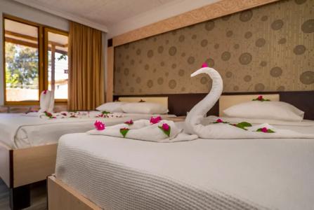 Aperion Beach - 25