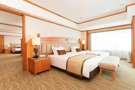 Nikko Kansai Airport - 3 mins walk to the airport - 67
